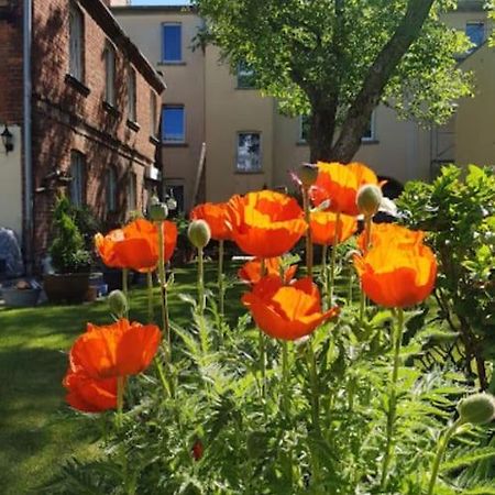 City Appartement Mit Garten, Zentral Und Trotzdem Ruhig Cottbus Eksteriør bilde