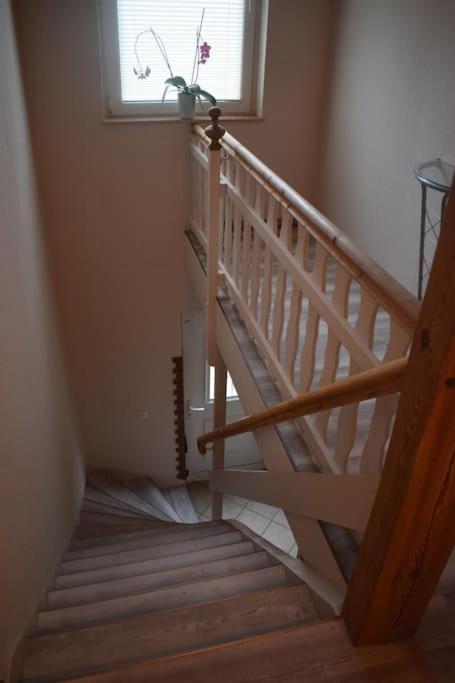 City Appartement Mit Garten, Zentral Und Trotzdem Ruhig Cottbus Eksteriør bilde
