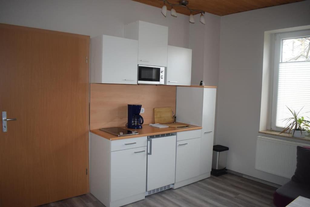 City Appartement Mit Garten, Zentral Und Trotzdem Ruhig Cottbus Eksteriør bilde