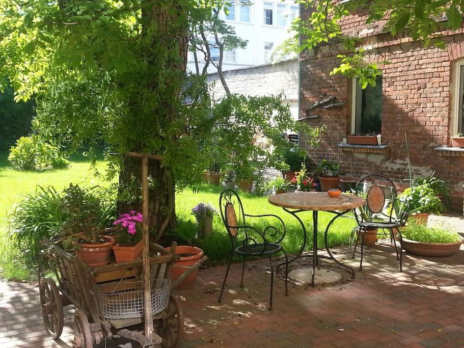 City Appartement Mit Garten, Zentral Und Trotzdem Ruhig Cottbus Eksteriør bilde