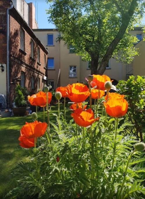 City Appartement Mit Garten, Zentral Und Trotzdem Ruhig Cottbus Eksteriør bilde